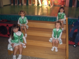 Ros06